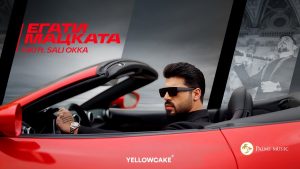 Фики ft. Сали Окка – Егати мацката